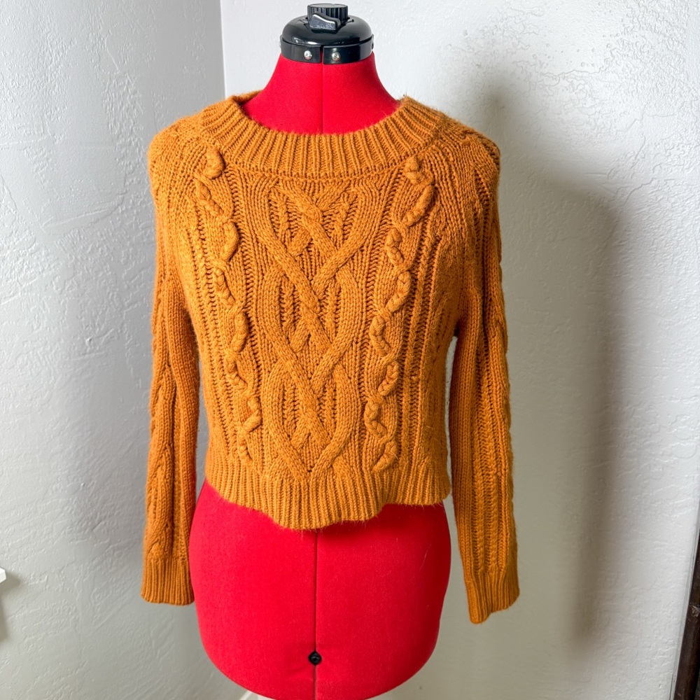Harper Burnt Orange Cozy Cable Knit Cropped Chunky Crewneck Sweater Size S